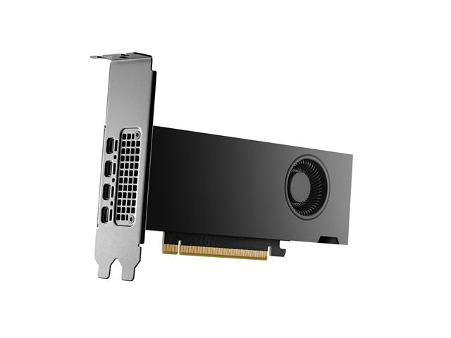 NVIDIA RTX 2000 Ada - Graphics card - NVIDIA RTX 2000 Ada - 16 GB GDDR6 - 4 x Mini DisplayPort